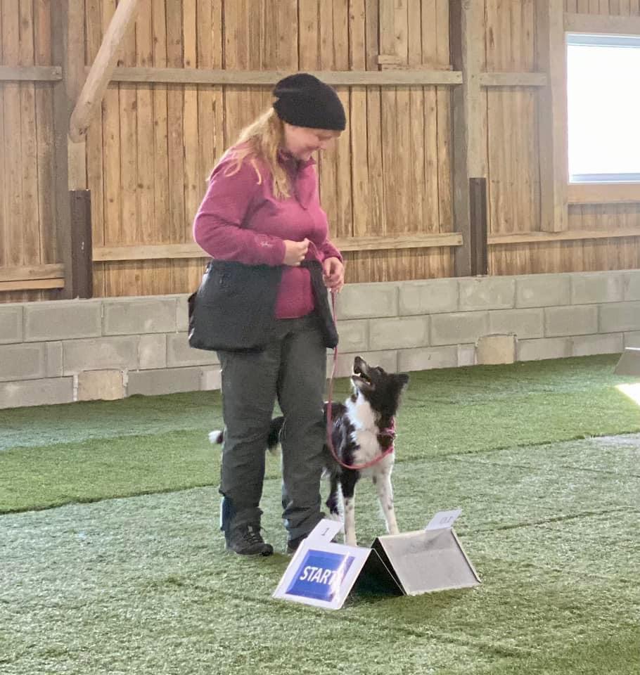 Rally lydighets stevene 12-13 oktober 2024