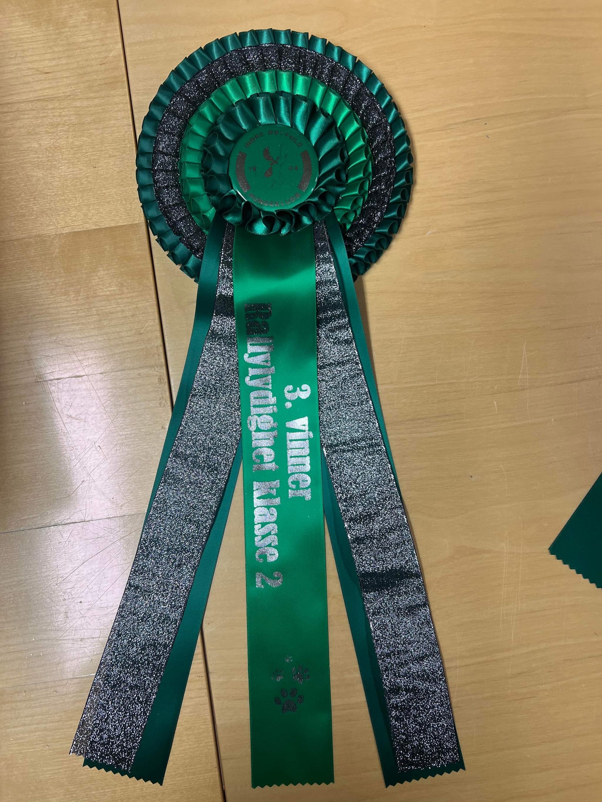 Rally-lydighets stevne 26.05.2024