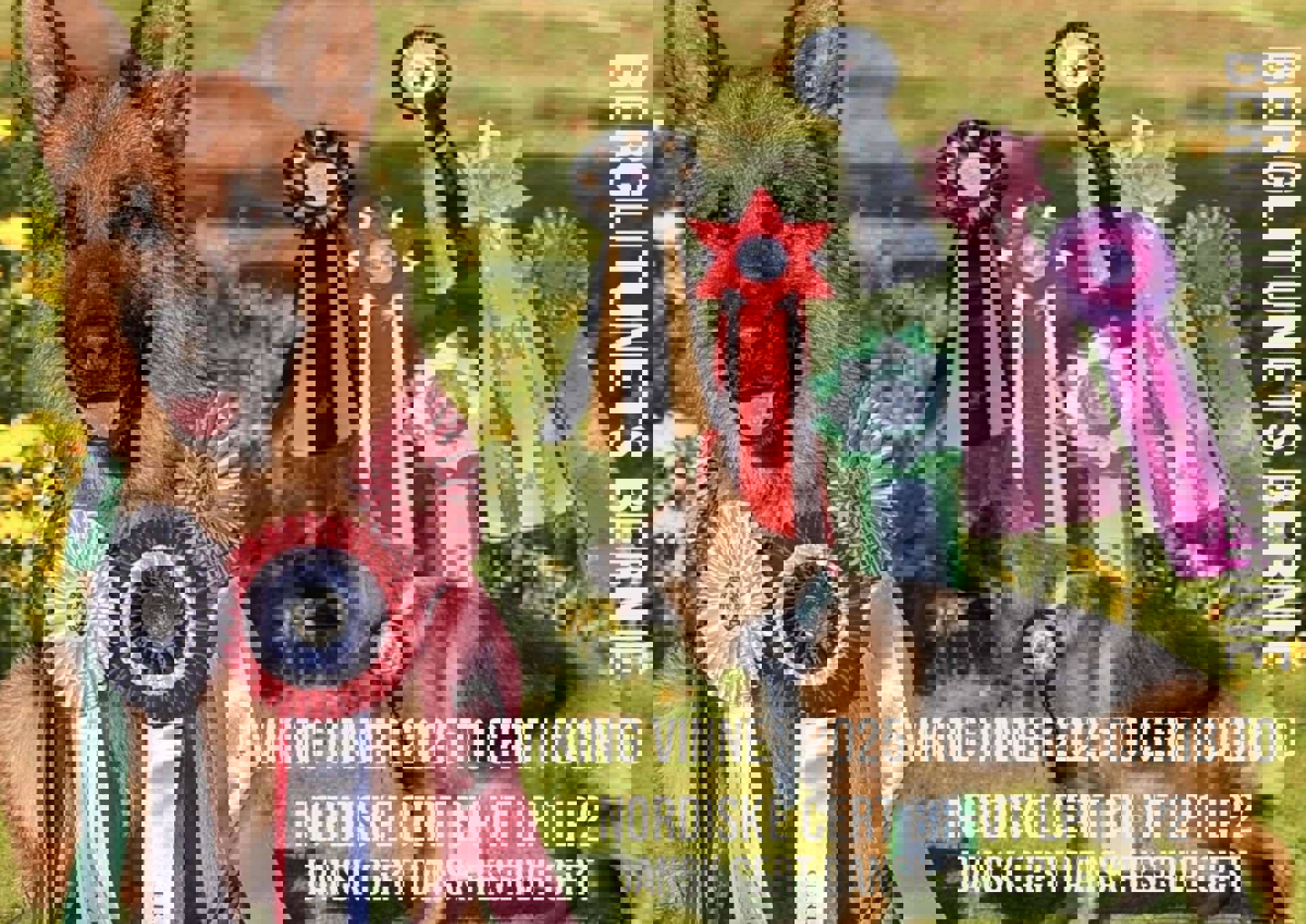 Utstillings resultater 