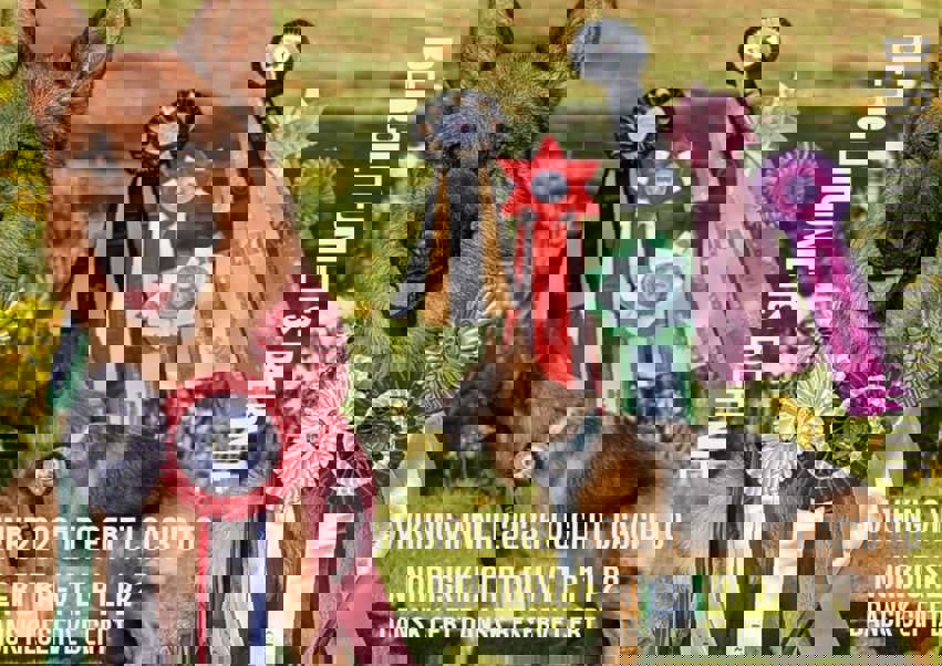 Utstillings resultater 