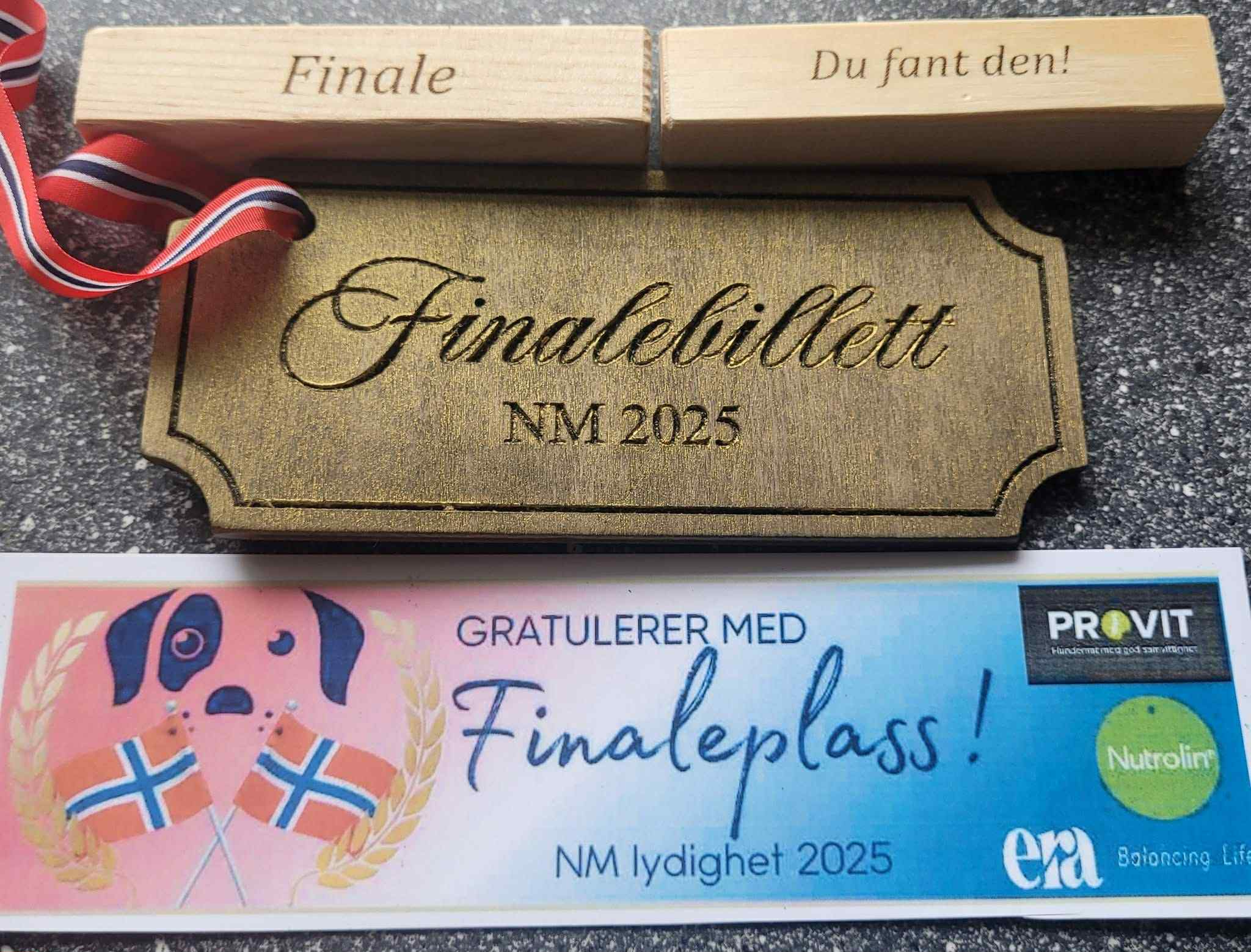 Artikkelbilde til artikkelen Nm Lydighet 2025